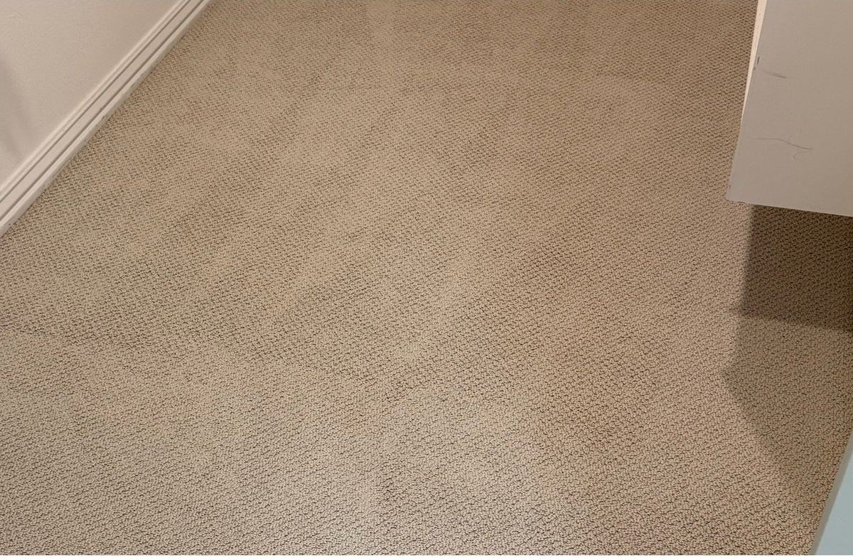 Carpet cleaning