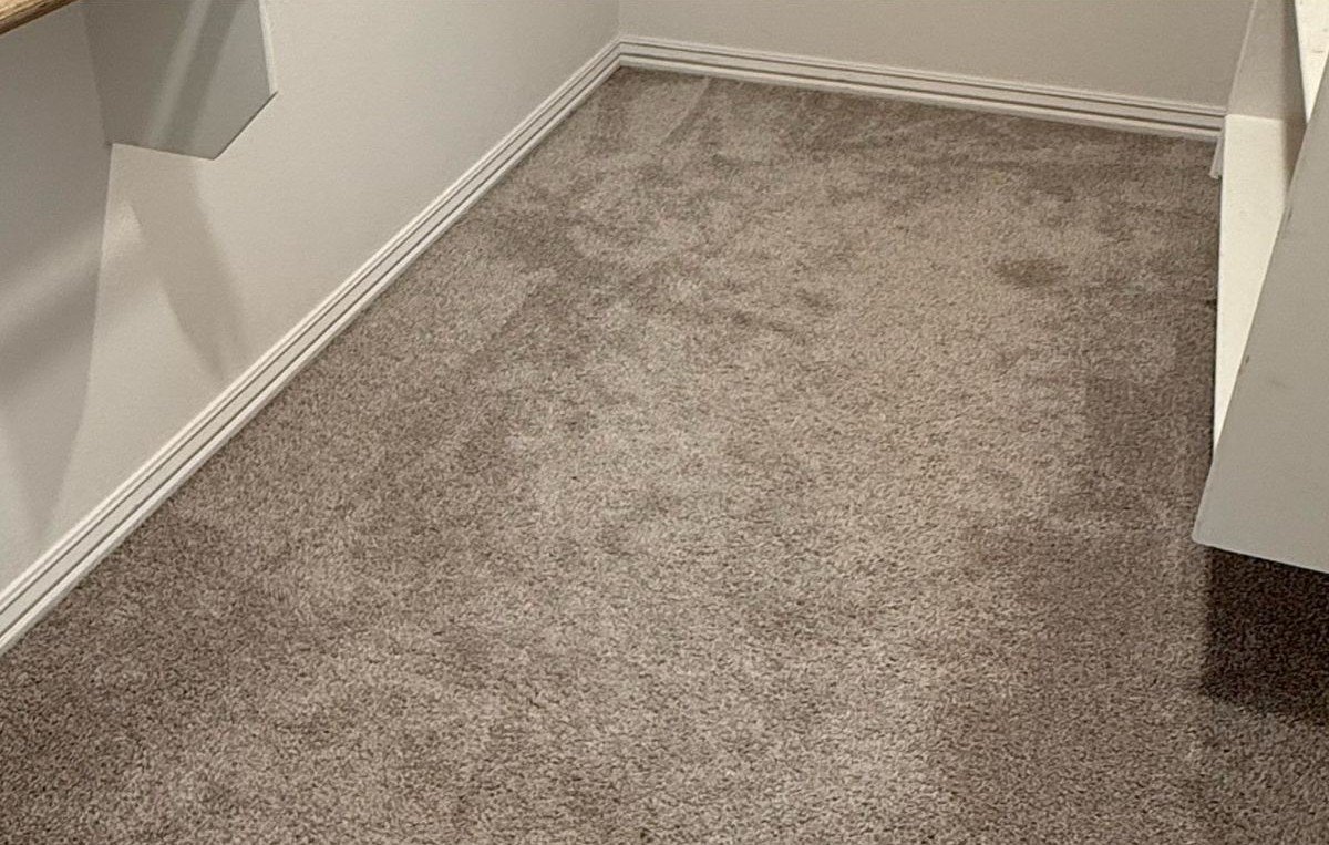Carpet before cleaning